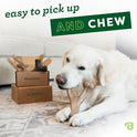 Benebone Medium 4-Pack Dog Chew Toys for Aggressive Chewers, Made in USA, 60lbs and Under