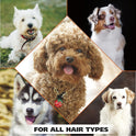 Wahl USA Dry Skin & Itch Relief Pet Shampoo for Dogs – Oatmeal Formula with Coconut Lime Verbena Scent - 64 Oz - Model 821004-050
