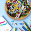 Fruit by the Foot Snacks Variety Pack - Fruit Roll-Ups, Gushers, Gluten Free Gummy Kids Snack, Good Source of Vitamin C, 16 Individually Wrapped Pouches, Perfect for On The Go, 10.2 oz Box
