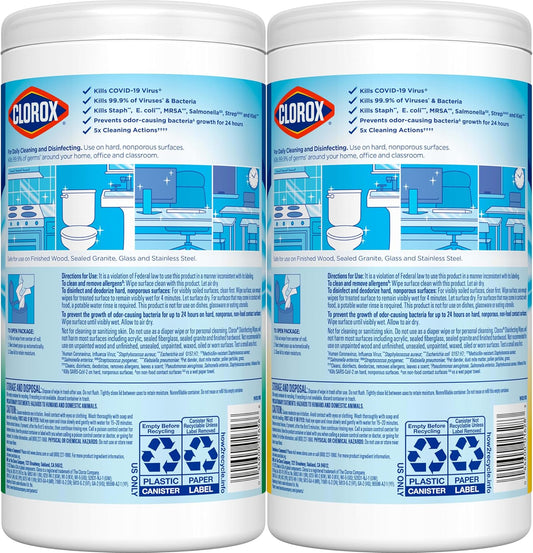 Clorox Disinfecting Cleaning Wipes Variety Pack, 75 Count Each, Pack of 2 (Package May Vary)