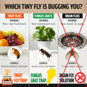 Super Ninja Fruit Fly Traps for Indoors - 4 Pack, Highly Effective Fruit Fly Catcher for Indoor Use for Home & Kitchen, Up to 3 Weeks of Performance per Bottle, Kid & Pet Friendly